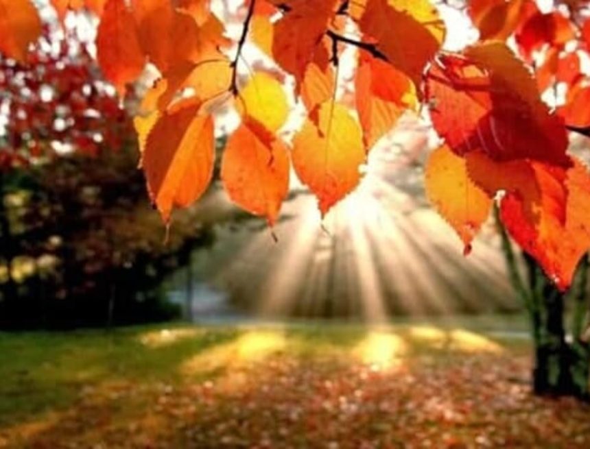 autunno-2 EQUINOZIO D’AUTUNNO 2024